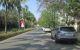 thum-9172856_lnx2M4jXo7_1735465062.JPG