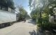 thum-9173079_eicMoxrSnR_1735615877.jpg