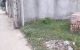 thum-m_Z3Thex1YMi_1735614264.jpg