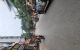thum-m_Ji4utC5LdW_1735697722.jpg