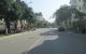 thum-9173473_VCrekuqsdj_1735897178.JPG