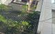 thum-m_A1vjXpFtnK_1735874775.jpg