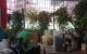thum-9174059_Emtv9R1bA8_1736302051.jpg