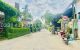 thum-9174086_fLX21ZU6as_1736309515.jpg