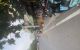 thum-9174192_buwc4Rm1GP_1736375972.jpeg