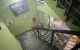 thum-9174359_XW7oCh4q2S_1736473383.jpg