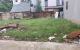 thum-9174735_itIFfNO3SZ_1736778572.jpg