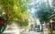 thum-9174893_ZO85xTyWLg_1736869996.jpeg