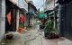 thum-9175175_LdJv5DgqQk_1737018408.jpg