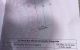 thum-9175263_0oD1rh5SN9_1737088953.jpg