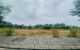 thum-m_eQImyZxJ9S_1737447128.jpg