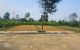 thum-m_YK3jqe9FAS_1737513093.jpg