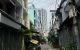 thum-m_x5CMT1wkaN_1737689998.jpg