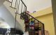 thum-9175784_K5NOq64Up0_1738079716.jpg