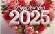 thum-m_dX9RoBmQcz_1738306793.jpg