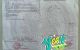 thum-9175886_vxZ7EOQ6di_1738566378.jpg