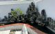 thum-9175934_KjdmoXWhiz_1738639688.jpg