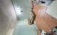 thum-9175968_QYN8w3gVBP_1738660157.jpg