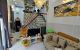 thum-9176048_oHO75yr9Dn_1738747534.jpg