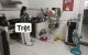 thum-m_G9QkAg1ew2_1738752525.jpg