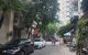 thum-m_lHb1giIyje_1738825124.jpg