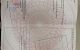 thum-9176237_cL63B5shHk_1738900658.jpeg