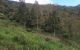 thum-9176353_HCQm70rYG3_1738998135.jpg