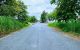 thum-9176356_blStvWDoFc_1738999824.jpg