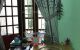 thum-9176358_ELvQia3dBO_1739000721.jpg