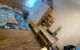 thum-9176404_kjDG47Ypwx_1739064444.jpg