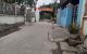 thum-9176572_GurtU6OCTy_1739191310.jpg