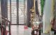 thum-m_EzlBTDm8jX_1739206240.jpeg