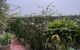 thum-9176648_j47kQbqPSe_1739257271.jpg