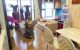 thum-m_cRP4aANWH1_1739245268.jpg