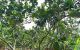 thum-9176800_Kesf5qTvuF_1739348811.jpg