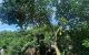 thum-9176800_QasmSRuM76_1739348953.jpg