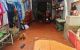 thum-9176824_Jb5RhSIA0M_1739361705.jpg