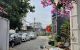 thum-m_6RKgyda83J_1739350784.jpg