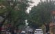 thum-9176879_vWeRMSw4J5_1739414052.jpg