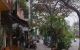thum-9177429_BtS4h2zLdK_1739674088.jpg