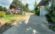 thum-9177479_jXxH9me5KW_1739694456.jpg