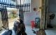 thum-9177523_o2ia4QfTmA_1739716658.jpg