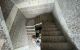 thum-9178073_MYFWTqcOze_1739955698.jpg