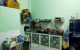 thum-9178144_zn2hPE1efH_1739979663.jpeg