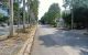 thum-9178252_LpE1xiWVNg_1740035517.jpg