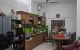 thum-9178460_FfJOBEy3XL_1740123795.jpeg
