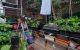 thum-9178510_0lTvIs1QpL_1740141206.jpg