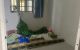 thum-9178523_hA8JbQKS4u_1740146978.jpg