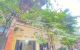 thum-9178755_xDMqAchW4B_1740240424.jpg