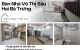 thum-m_MKtk6uISqz_1740224068.jpg
